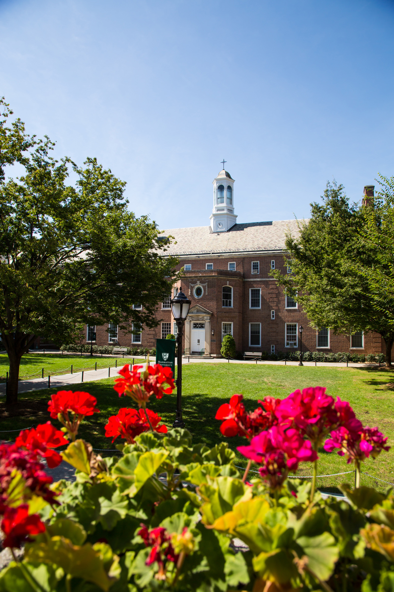 spring flowers on a sunny day on campus