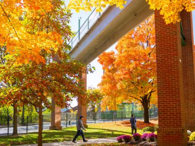 photo of Manhattan University covered in leaves in the Fall