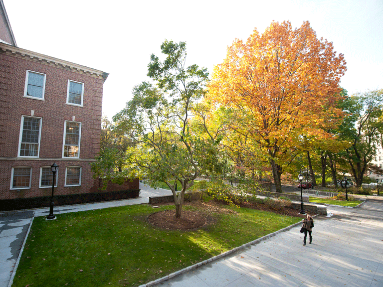 campus shot