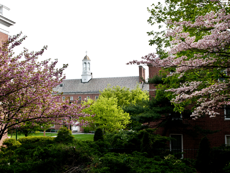 Flowers and trees on campus