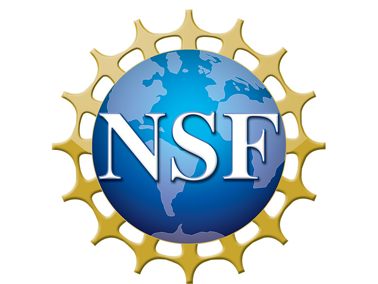 National Science Foundation logo
