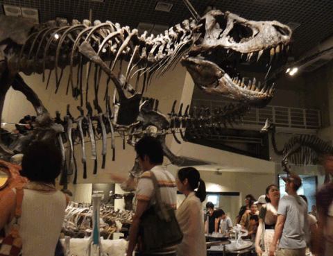 People spectate dinosaur exhibit at museum.