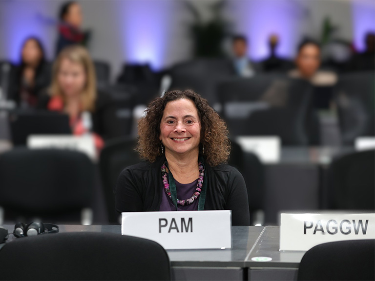 Pamela Chasek sits at a conference table with a name placard, smiling during a National Model UN session in a large meeting room.